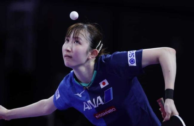 家庭出游者 家庭出游者