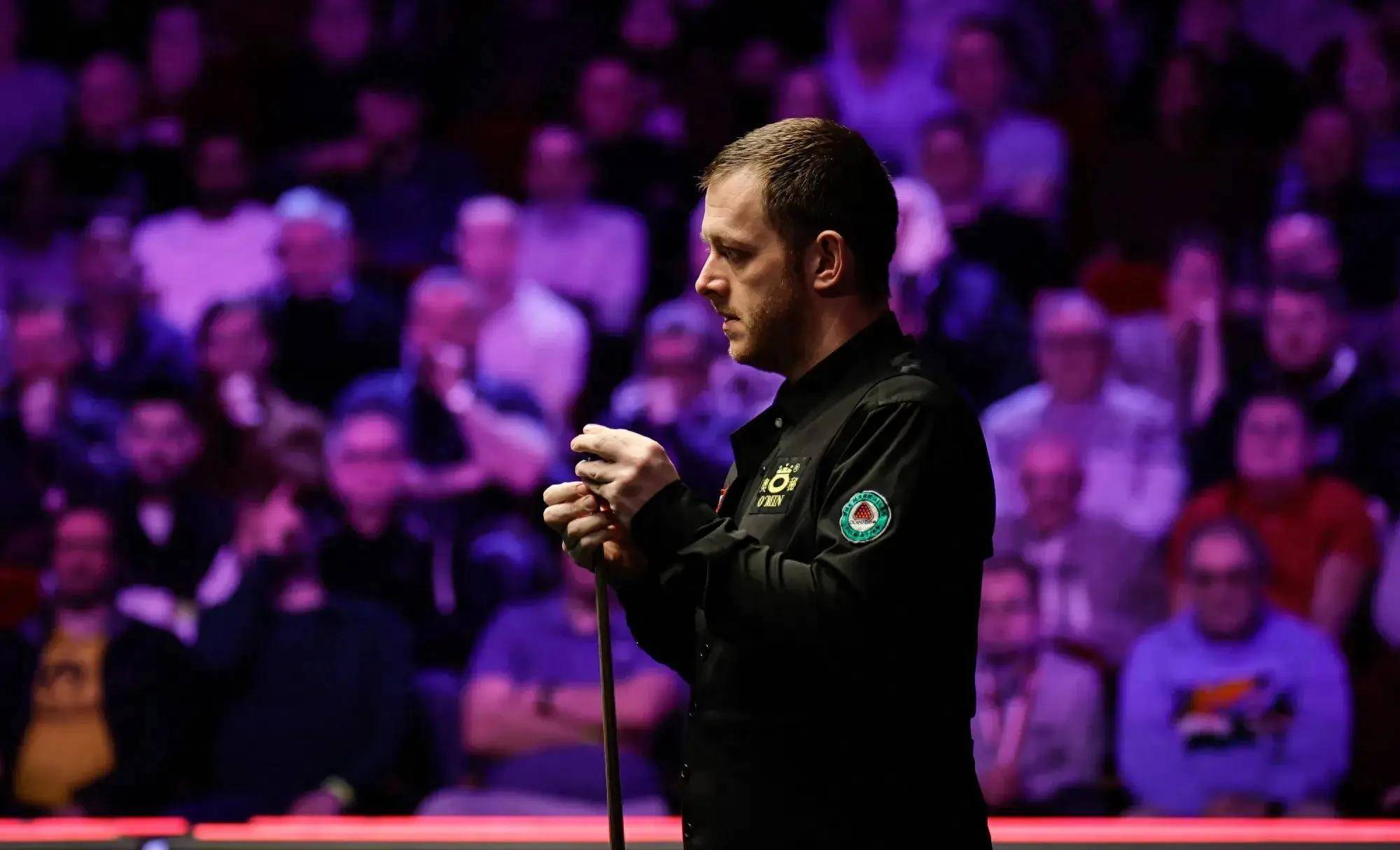 如果她能够 如果她能够